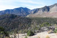 23-scenic_view_along_the_trail