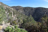 26-scenic_view_along_the_trail