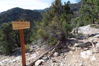 31-heading_west_eventually_connecting_to_Telephone_Canyon_Rd