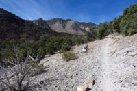 32-scenic_view_along_the_trail