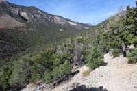 33-scenic_view_along_the_trail