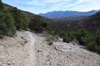 40-scenic_view_along_the_trail