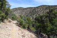 43-scenic_view_along_the_trail