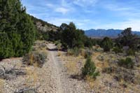 48-scenery_along_the_trail