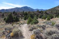 49-scenery_along_the_trail