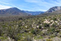 50-scenic_view_along_the_trail