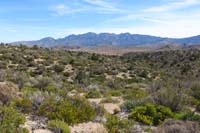 53-scenic_view_of_La_Madre_Mountain_from_trail