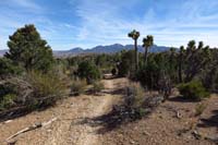 56-scenic_view_along_trail_with_La_Madre_Mountain