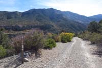 13-looking_down_dirt_road