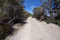 15-dirt_road_is_the_trail-fence_in_distance