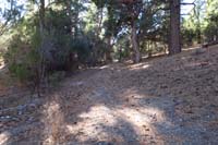 49-fenced_area_and_scenery_along_the_trail