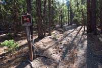 51-closed_to_motor_vehicle_access_along_the_trail,obvious_considering_prior_barrier