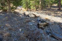 53-Mud_Springs_25-debris_blocking_use_of_alternate_trail_to_west_to_a_dirt_road