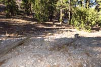 54-Mud_Springs_25-looking_north_to_spur_trail_that_has_been_wiped_away_since_my_last_visit_in_2020