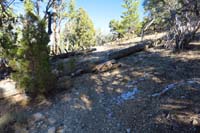 60-obstacle_that_hasn't_been_removed,but_cut_for_clear_step_over