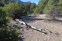 62-Mud_Springs_Spur2-looking_west_to_blocked_spur_trail_to_discourage_use