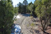 66-heading_up_the_trail_to_Macks_Canyon_Road