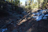 73-trail_meanders_in_and_out_of_a_wash_for_a_while,mostly_in