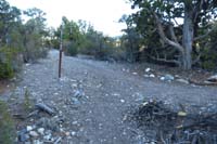 77-Sawmill_11_waypoint,back_to_the_main_Sawmill_loop-1_mile_from_trailhead