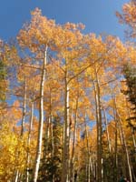 Fall-pretty_Fall_colors