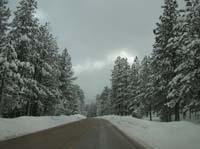 snow-pretty_snowy_views_along_Lee_Canyon_Rd_to_ski_resort