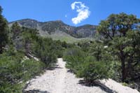 08-continuing_up_scenic_Upper_Cowboy_Washington_trail