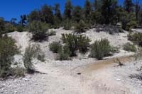 10-PixieGypsyALT1_waypoint,left-Pixie,right-Gypsy_alternate_connection,behind-trail_to_road