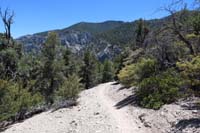 16-scenic_view_along_trail_heading_back