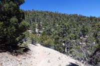 17-scenic_view_along_trail_heading_back