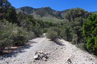 04-ShadyCowboyJCT_waypoint,left-Cowboy_Washington,right-Shady_Hollow,turning_right