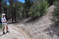 09-ShdyTinCanALT3_waypoint-looking_SE,left-Shady_Hollow,Tin_Can,right-steep_upghill_portion,BS_alternate