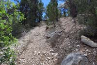 10-ShdyTinCanALT3_waypoint-looking_up_steep_BS_steep_portion,go_down_and_not_up,thrill_for_bikes