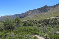 12-StepCowShdyJCT_waypoint_just_ESE_of_opening,view_to_southwest