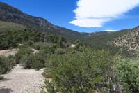 14-StepCowShdyJCT_waypoint_just_ESE_of_opening,view_to_northwest