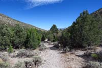 18-scenery_along_the_Shady_Hollow_Trail_heading_south