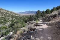 19-scenery_along_the_Shady_Hollow_Trail_heading_south