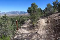 20-ShadyTinCanWP2_waypoint-left-Shady_Hollow,right-Tin_Can_Alley,moot_point_since_both_meet_again_in_.2_miles