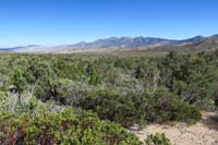 21-scenic_view_along_Shady_Hollow_Trail_looking_SE