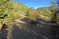 06-ShadyTinCanWP1_waypoint,straight-Tin_Can,right-Shady_Hollow,left_out_of_sight-Shady_Hollow