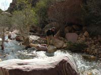 02-Larry_traversing_a_boulder_avoiding_the_water