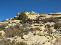 27-Peppe_on_the_peak