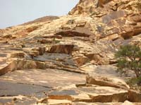 029-Bighorn_Sheep_on_ridge_watching_us