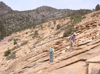 042-lots_of_loose_sandstone_since_at_Keystone_Thrust_Fault