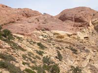 050-heading_towards_the_trees_at_the_top