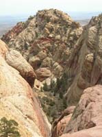 073-pretty_views_with_small_hidden_Ponderosa_forest_and_Rainbow_Peak