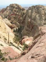 078-pretty_views_with_small_hidden_Ponderosa_forest_and_Rainbow_Peak