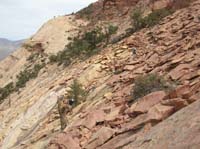 109-sandstone_boulder-scree_field_on_way_back