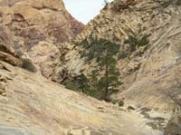 122-heading_back_through_Oak_Creek_Canyon