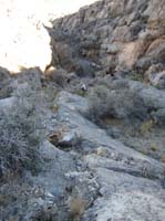 25-I'm_leading_a_group_of_one_down_ravine