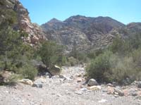 61-finishing_the_hike_through_a_pretty_way